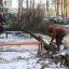 Утренний снег и ветер в Гродненской области: зафиксировано 17 случаев падения деревьев на дороги 2