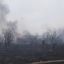 В Мозырском районе при пале травы сгорели пять дач 0