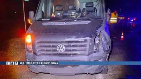 В Калинковичском районе на трассе под колесами легковушки погиб пьяный мужчина