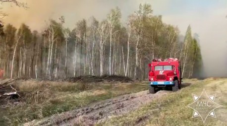 Работники МЧС, лесхоза и сельхозпредприятий ликвидируют лесной пожар в Пинском районе