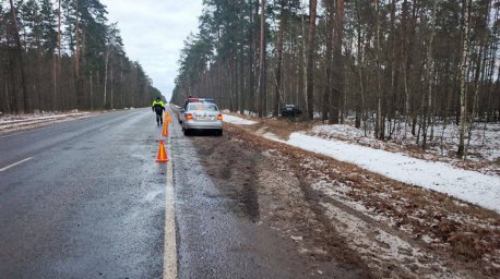 Легковушка съехала в кювет и врезалась в дерево в Речицком районе, пострадала девочка