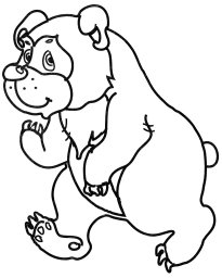 Косолапый медведь 0