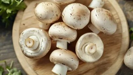 Шампиньоны