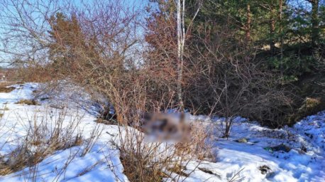 В Столбцовском районе в овраге обнаружен труп мужчины со следами насильственной смерти