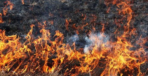 Спасатели Гродненской области десять раз выезжали на тушение загораний сухой растительности за сутки Спасатели Гродненской области десять раз выезжали на тушение загораний сухой растительности за сутки