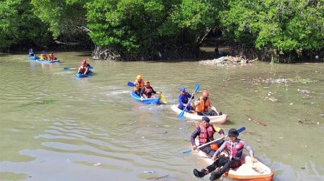 На Бали туристов предупредили о возможном появлении змей после наводнений