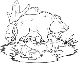 Кабанчик с маленькими