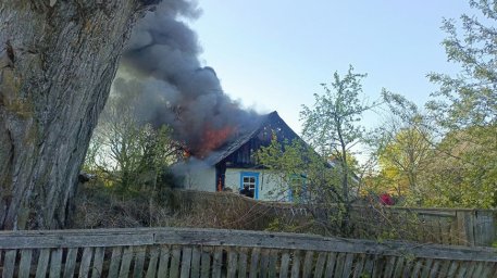 Пожар под Лельчицами: работники лесхоза предотвратили переход огня на пойму