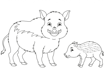 Кабанчики 0