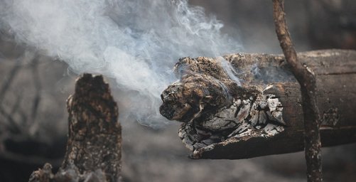Работники лесного хозяйства за сутки потушили 25 пожаров в лесах Беларуси