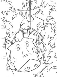 Тимон и Пумба 0