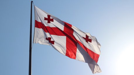 В парламенте Грузии обвинили ЕС в организации беспорядков в других странах