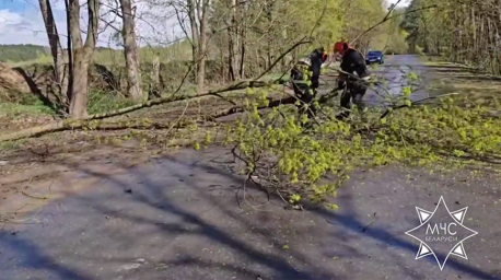 Спасатели ликвидировали последствия сильного ветра в регионах Беларуси