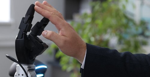 Роботизированную руку с настоящими мышцами создали в Японии Роботизированную руку с настоящими мышцами создали в Японии