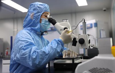 Китай первым в мире начал эксперимент с искусственным эмбрионом в космосе