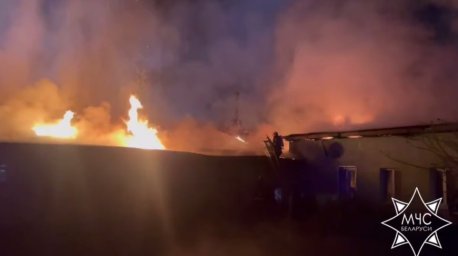 В Могилевском районе горела пилорама