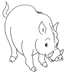 Дикий кабан 0