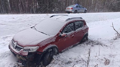 Лось стал причиной ДТП в Березинском районе: пассажир легковушки госпитализирован
