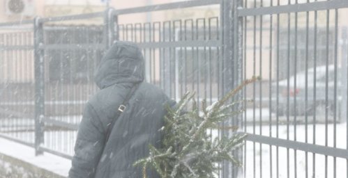 Елка по низкой цене. МВД предупреждает об активизации кибермошенников