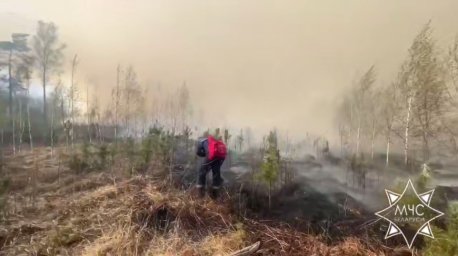 Лесной пожар в Пинском районе локализован