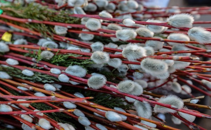 Православные верующие празднуют Вербное воскресенье 4