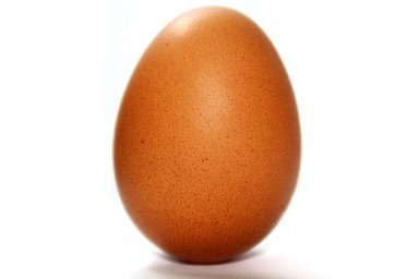 Яйцо Яйцо