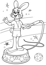 Заяц циркач 0