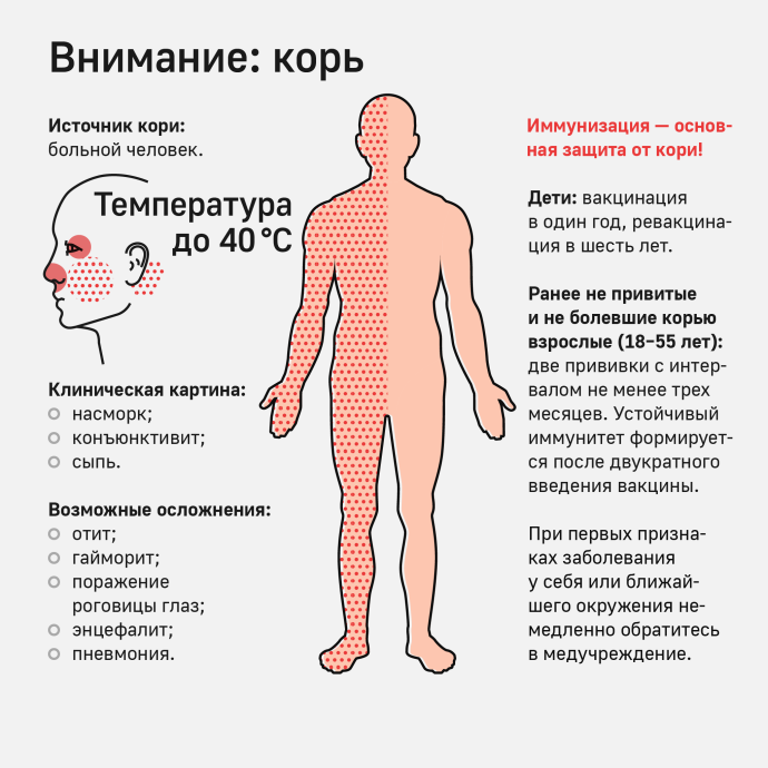 Выявлены антитела, сверхэффективно нейтрализующие вирус кори 0