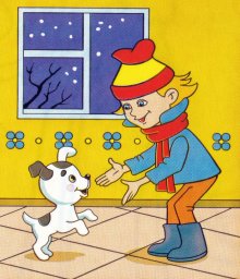 Щенок нашел хозяина 1