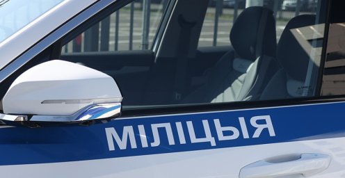 Нетрезвый бесправник с 2,6 промилле алкоголя задержан в Борисове