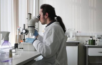 Найден новый элемент у бактерии, собирающей свет с помощью антенн