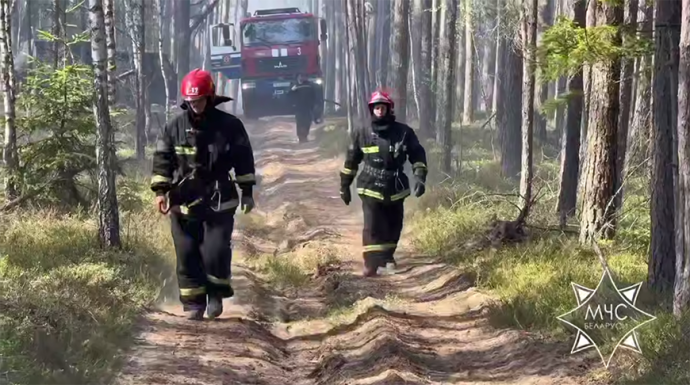 МЧС: лесной пожар в Гродненском районе не создал угрозы населенным пунктам 2