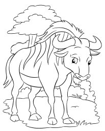 Полосатая гну 0