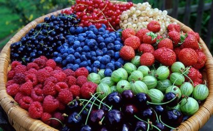 Ягоды Ягоды