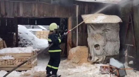 В Борисове спасатели ликвидировали пожар на территории пилорамы