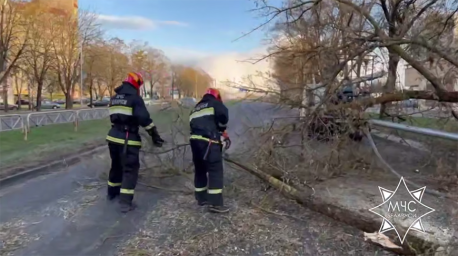 Спасатели ликвидировали последствия сильного ветра в регионах Беларуси