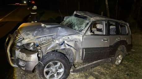 В Зельвенском районе легковушка съехала в кювет из-за дикого животного, пострадал пассажир