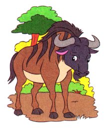 Полосатая гну 1