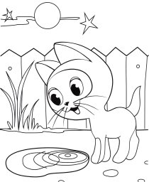 Гав смотрит 0