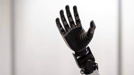 Китай запустил первый в мире завод по производству суставов для роботов