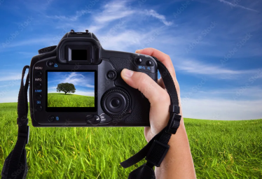 Фотография Фотография