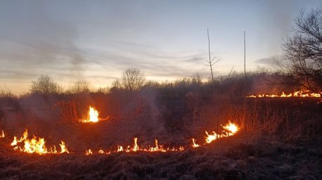 Случаи возгорания сухой травы зарегистрированы в Гродненской области