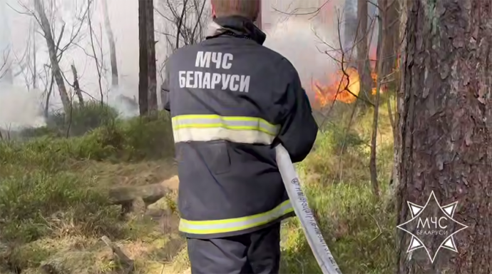 МЧС: лесной пожар в Гродненском районе не создал угрозы населенным пунктам 1