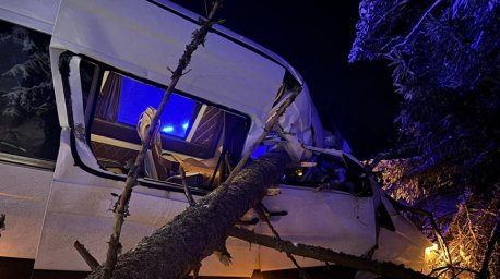 Маршрутка в Вилейском районе вылетела в кювет, наехав на упавшее дерево