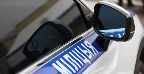 В лесном массиве Лепельского района Витебщины обнаружено тело женщины