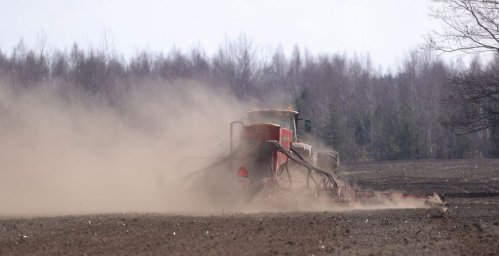 Больше картофеля и кукурузы на зерно. Минсельхозпрод рассказал о планах на посевную