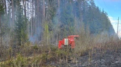 Обрыв линий электропередачи из-за сильного ветра вызвал возгорания в лесфонде