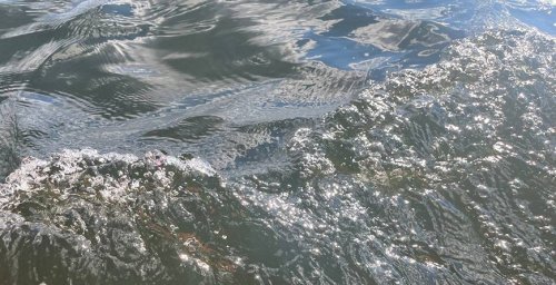 В Речицком районе в водоеме-копани утонул мужчина