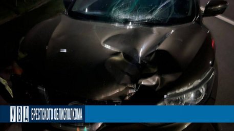 Два пешехода пострадали в ночных ДТП в Брестской области
