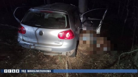 В Пуховичском районе в ДТП с диким животным погиб пассажир легковушки